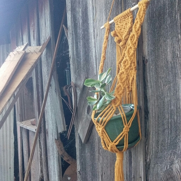 Macrame plant hanger - cotton wall hanging mustard - Picture 2 of 4